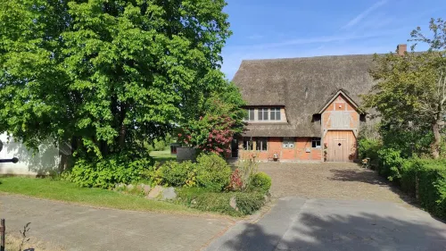 Modern studio apartment under thatch