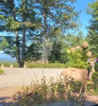 Quaint Mt. Mitchell Condo