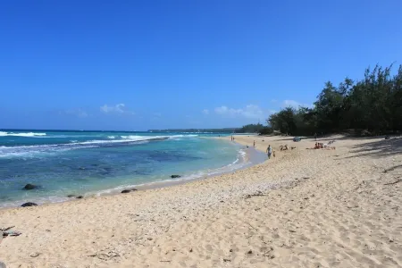 Charming. permitted cottage, short walk to Paia town & beach.STPH 2013/0004