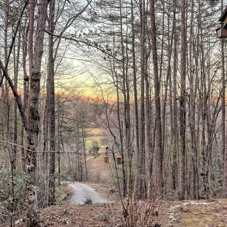 Private, Guest Favorite Cabin, Fire Pit, Close to Hiking and Downtown Clayton!