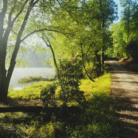 Peaceful Lakeside Haven w/private dock; boating, hiking swimming just steps away