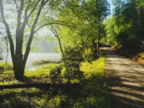 Peaceful Lakeside Haven w/private dock; boating, hiking swimming just steps away