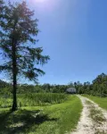 Raised 3 bed 2 bath house with canal access to Wolf River