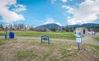 Large Cottage Near Downtown, Beach & Skiing #116