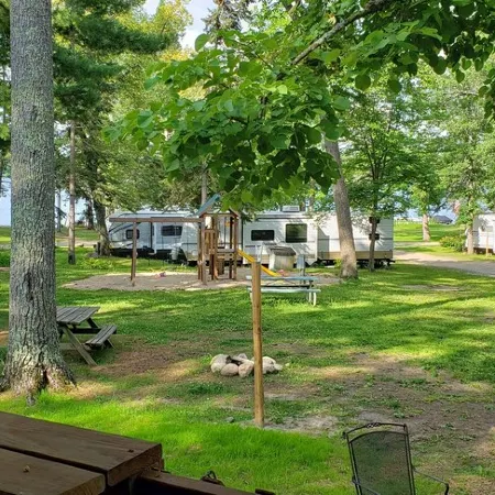 Tiny cabin in towering pines, with lake view. Pets accepted!