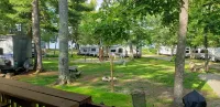 Tiny cabin in towering pines, with lake view. Pets accepted!
