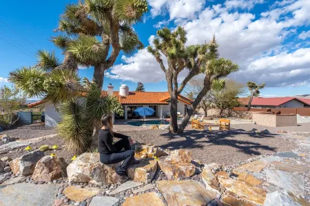25% off 7-nights! Epic Pool /spa! 12 Joshua Trees🌵3 King beds/1 Queen Hiking!