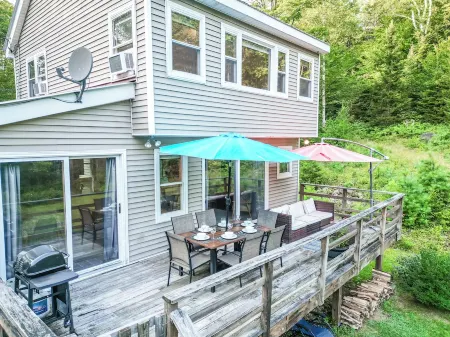 Starry Skies: 7min to SkiStratton+PikesFalls+DogOK