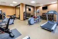 HIlton Garden Inn Roanoke Hotel di Cave Spring