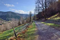 Gîte Dans Ferme Équestre Hotels in Saint-Maurice-sur-Moselle