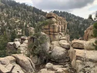 Cabin Chateau Relaxo Cabin Large Game Room. Walking Distance to Town. 러닝 스프링즈 호텔