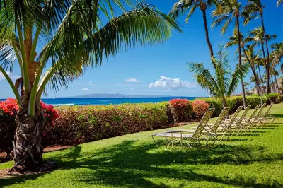 Endless Waves, Incredible Direct Oceanfront Views! Hotels near Maui Ocean Center, The Aquarium of Hawaii