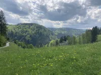 Schwarzwald Ferienwohnung im Ruhigem Tal Hotel a Sankt Margen