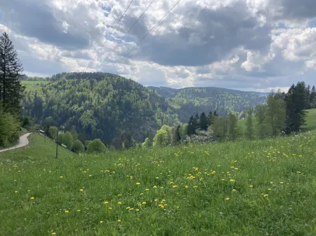 Schwarzwald Ferienwohnung im Ruhigem Tal Отели рядом с достопримечательностью «Potsdamer Platz»