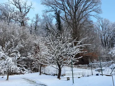 Tasteful and high-quality vacation apartment with large terrace and pool Отели в г. Ортенберг