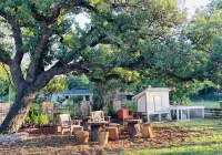 Boho-Ranch Retreat in Hip East Austin w Hot Tub and Cowgirl pool. - Private Pools