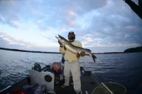 Lakefront Large Lodge in quiet bay~ Pontoon Rental Available