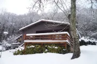 MOUNTAIN CHALET (PROMIXITE DE GOURETTE)