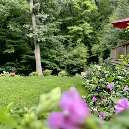 Hot Tub, Couples Hideaway, Private, Gazebo, Serene, Country, Birds, Wildlife