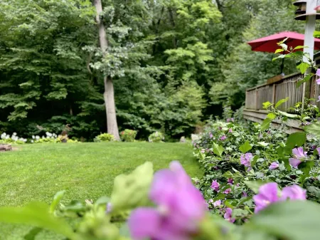 Hot Tub, Couples Hideaway, Private, Coziness, Country, Birds,  Wildlife, Quiet