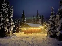Bear Cabin-Gunning Cabin Rentals