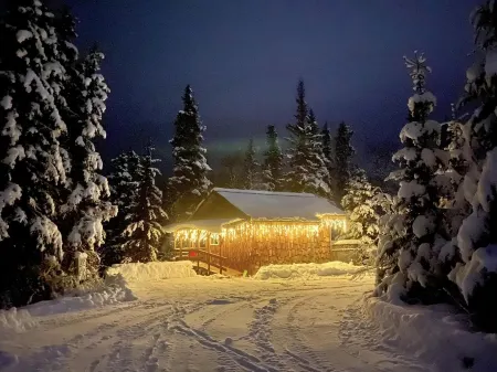 Bear Cabin-Gunning Cabin Rentals