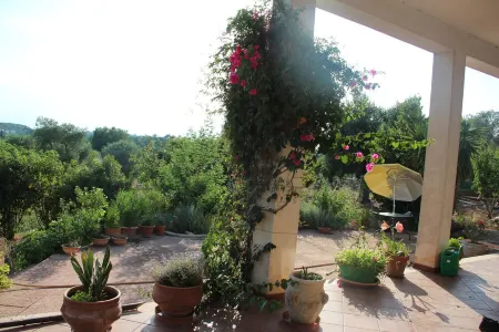 Country house "Casa Mia" in the evergreen olive grove