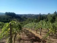 Apartment House with garden Tuscany Chianti ,  Florence 15km.