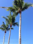 Vanderbilt Beach Vacation Home - LARGE PRIVATE POOL w/ fully fenced in backyard