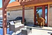 A Night with the Alpacas & Alpaca Experience!