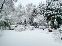 Landhauscharme Trifft Moderne im Grünen - Casa Angres - Family & Friends Hotels in Konigsmoor