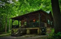 Cozy Cabin Among the Trees - Rustic Charm, Modern Comforts,  26 Secluded Acres