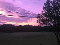 Adorable Guest Cottage