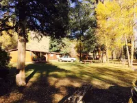 Private Cabin on the Conejos River, Pet Friendly, Sleeps 5
