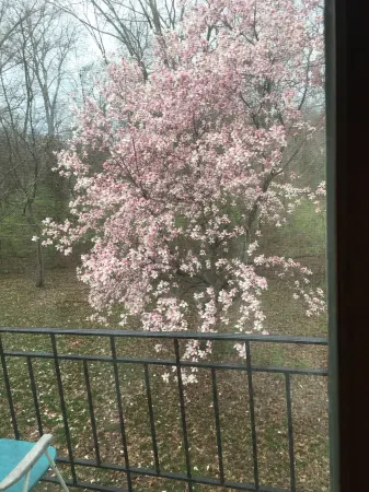 Retro Ranch With Private Indoor Pool & Sauna <br>St Louis, MO Отели в г. Балвин