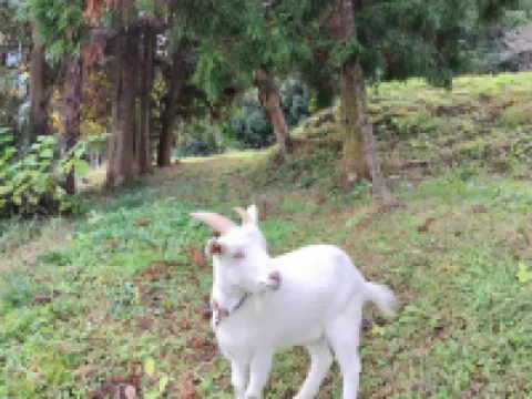 古民家宿oniwa 波佐見町のホテル