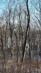 Newly Renovated in 2017/2018! Large 2 Acre Lot. Lots of Parking! Has AC! - 2-Star