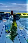 Last Minute Deal Ocean Point Oceanfront with Private Beach