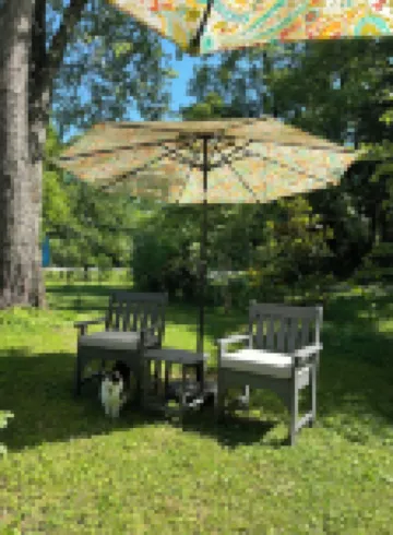 Art & Nature Retreat Suite Near Mountains, Airport & University of TN