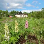 Lodge Hunters Forest A Blissful and Luxurious ti Hotels in Nakashibetsu