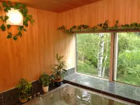 pension R.in Hotels in Chiisagata District