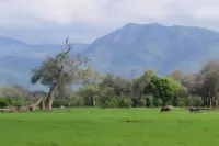 Mwinilunga Safaris - Parkplatz