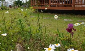 Chungju Justin House Pension