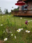 Chungju Justin House Pension Hotels near Angseong Carbonate Spa