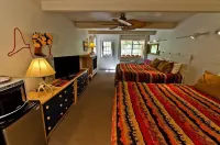 Hot Springs Inn Hotels in Ouray