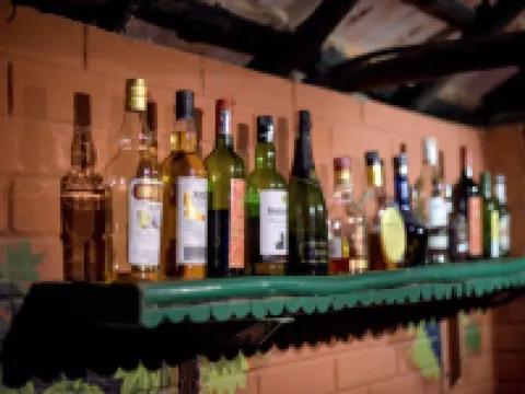 桑德班虎營度假村 南24區縣酒店