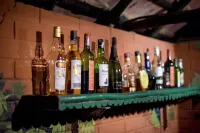 선데르반 타이거 캠프