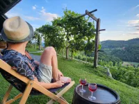Vineyard Cottage Podržaj Hotels in Otocec