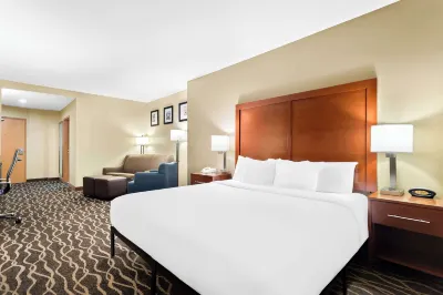 Comfort Suites Tampa Airport North Hotels near Terra Sur Cafe