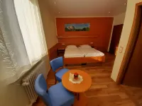 Hotel-Gasthof Zum Freigericht Отели в г. Альценау